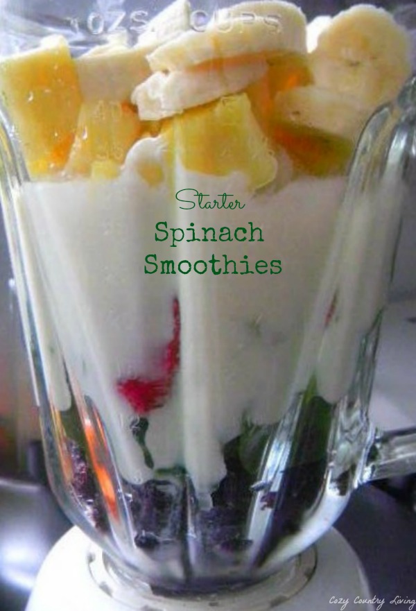 Starter Spinach Smoothies