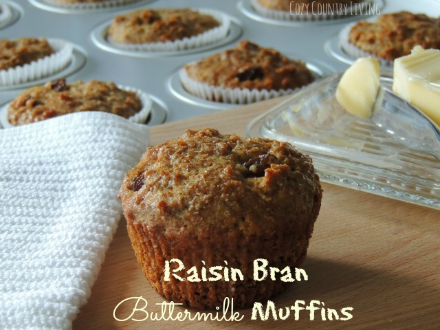 Raisin Bran Buttermilk Muffins
