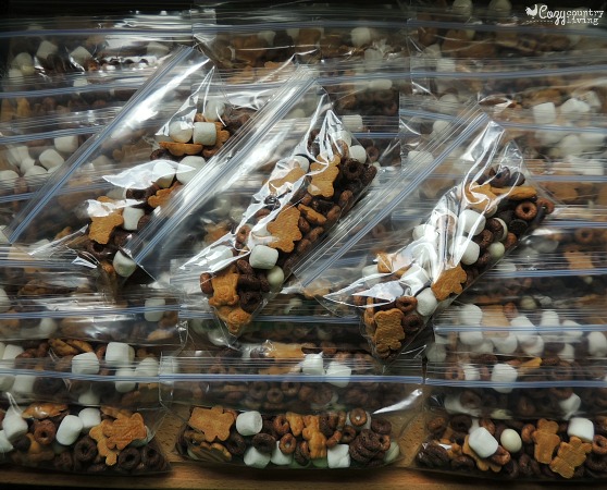 Individual S'mores Snack Mix