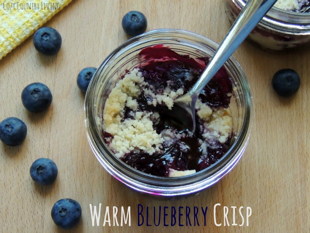Warm Blueberry Crisp