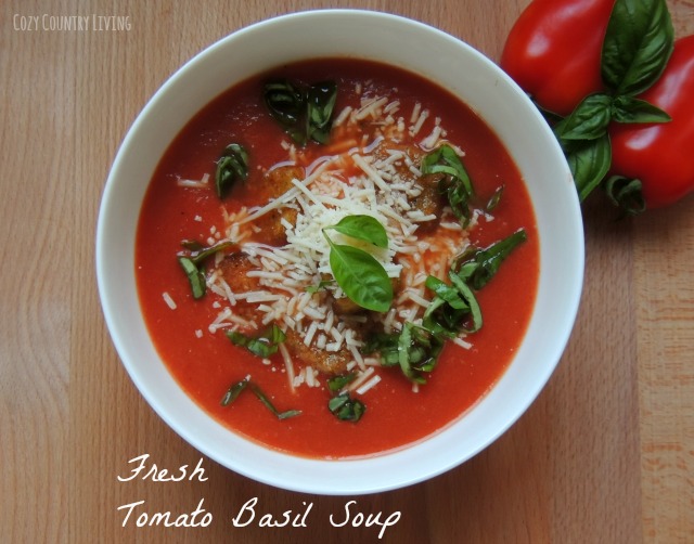 Fresh Tomato Basil Soup