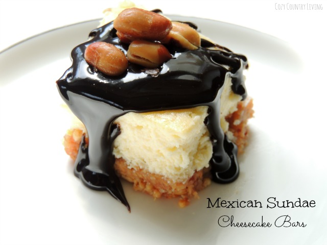 Mexican Sundae Cheesecake Bars Dessert