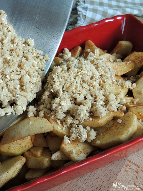 Adding Topping to Old Fashioned Apple Crisp