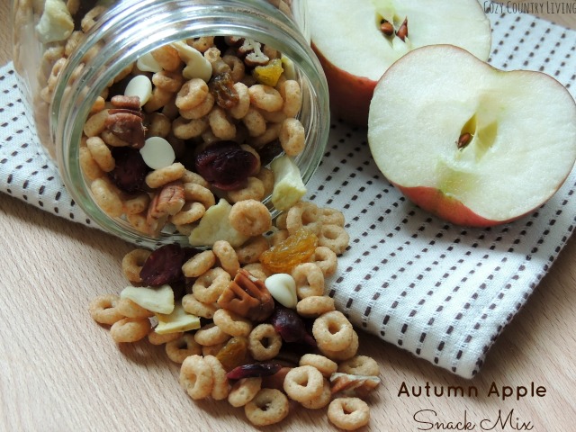Autumn Apple Snack Mix