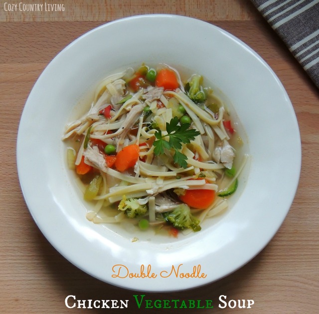 Double Noodle Chicken Vegetable Soup