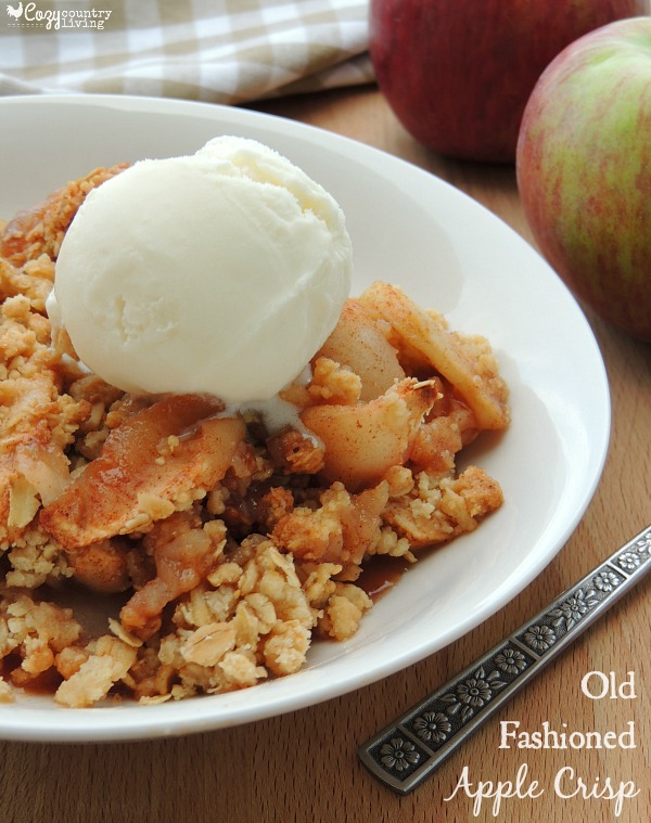 Oatmeal Apple Crisp (Perfect for Fall!) - Chef Savvy