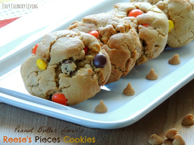 Peanut Butter Lover's Reese's Pieces Cookies