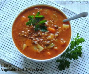 Hearty Vegetable Beef & Rice Soup - Cozy Country Living