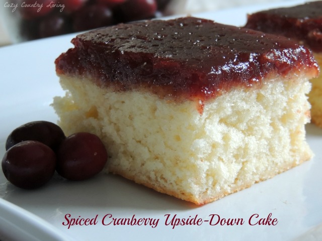 Spiced Cranberry Upside-Down Cake