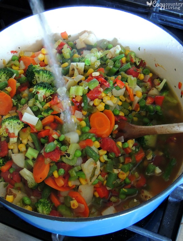 Adding Water to Loaded Vegetable Soup