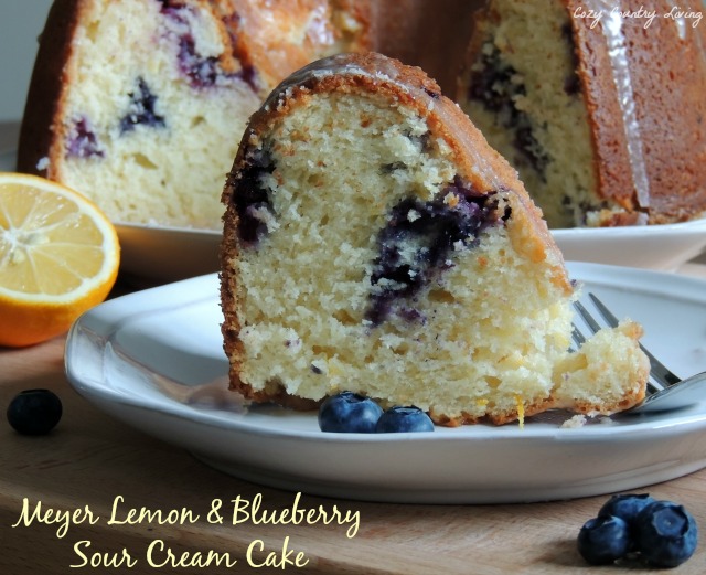 Lemon Blueberry Bundt Cake - Baker by Nature