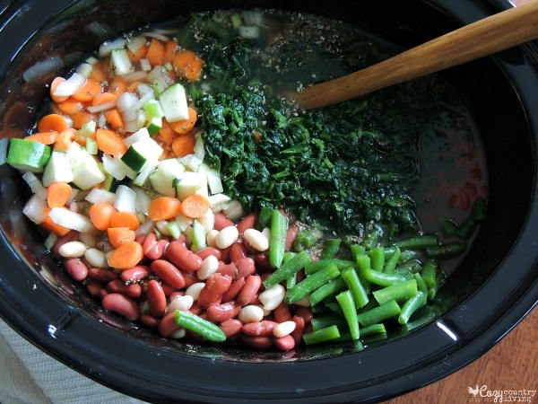 Ingredients for Slow Cooker Minestrone Soup