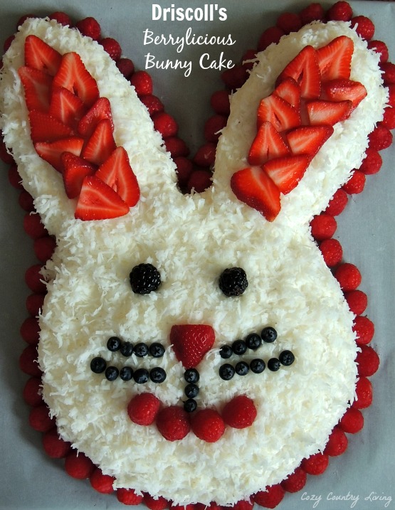 Driscoll's Berrylicious Bunny Cake