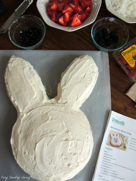 Frost the bunny cake and get ready to decorate!