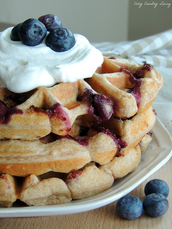 Blueberry Buttermilk Waffles with Whipped Cream