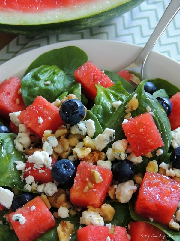 Fresh Spinach & Watermelon Salad