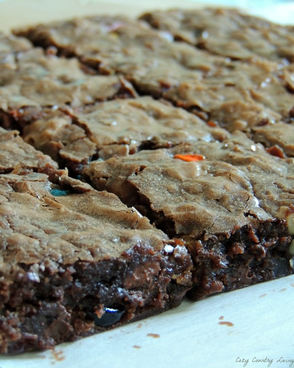 5 Minute Trail Mix Brownies | Cozy Country Living