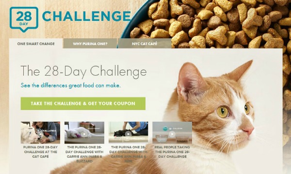 28 Day Purina ONE Challenge Cat
