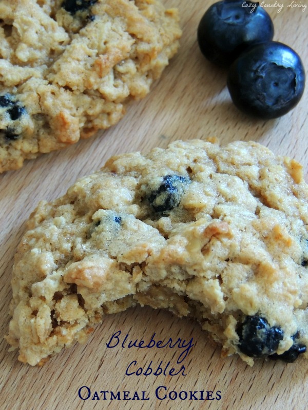 Blueberry Cobbler Oatmeal Cookies