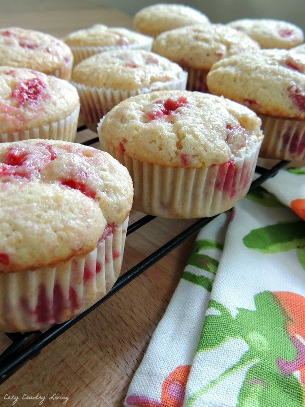 Fresh Raspberry Muffins Cooling