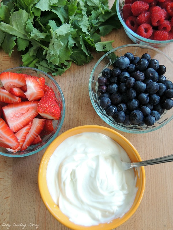 Ingredients for Triple Berry Kale Smoothies