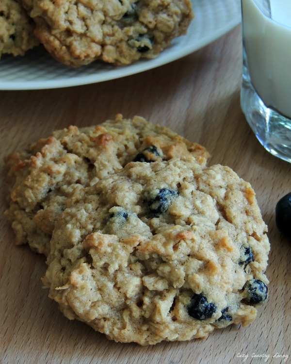 Snack Time! Blueberry Cobbler Oatmeal Cookies