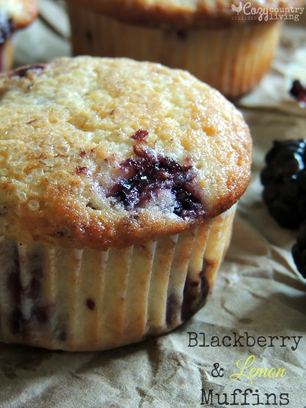 Blackberry & Lemon Muffins