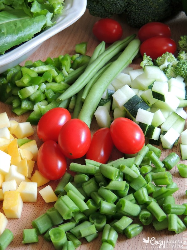 Fresh Vegetables for Summer Garden Salad