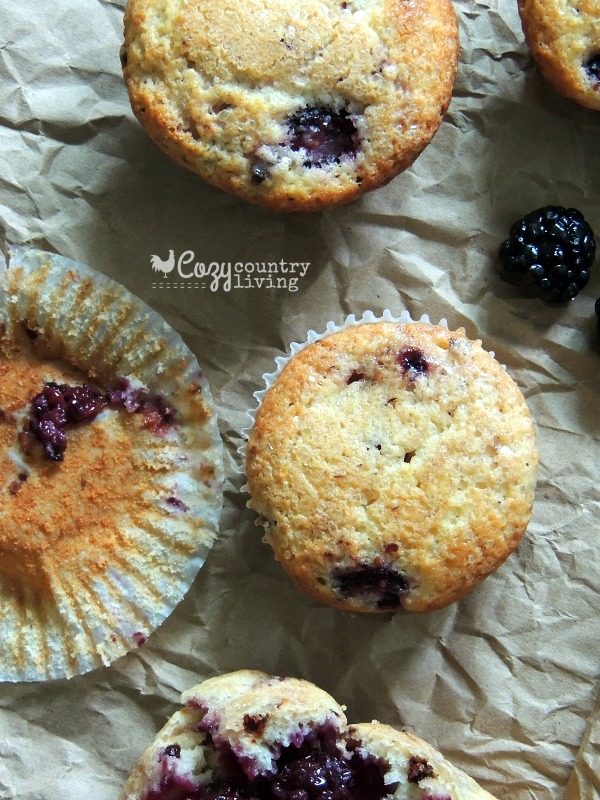 Freshly Baked Blackberry & Lemon Muffins