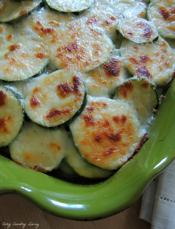 Italian Cheese Scalloped Zucchini Hot from the Oven