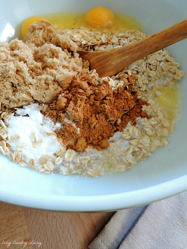 Stir together the Baked Oatmeal Ingredients