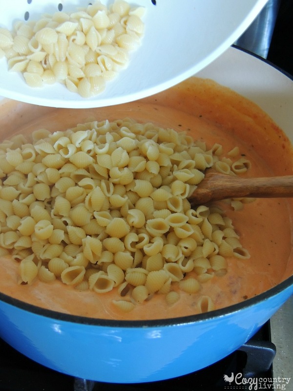 After Adding Salsa, Add the Cooked Pasta