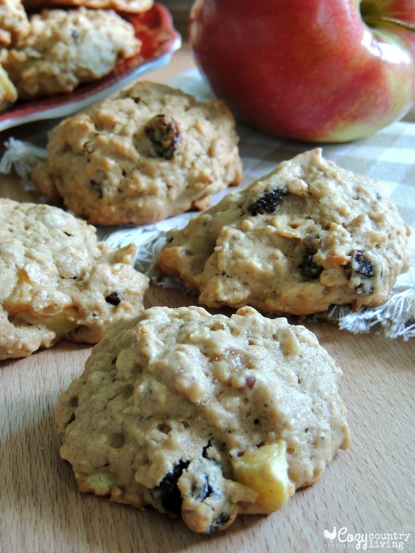 Apple Harvest Breakfast Cookies for a Snack