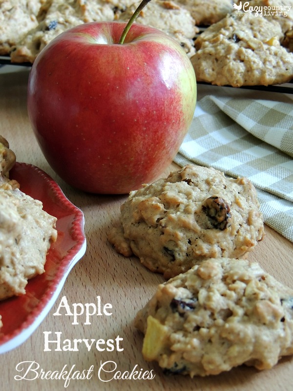 Apple Harvest Breakfast Cookies