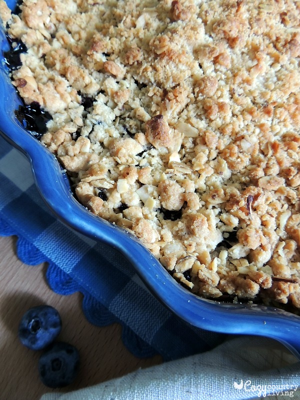 Freshly Baked Blueberry Almond Crumble