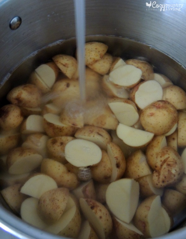 Preparing Potatoes for Mexican Potato Salad