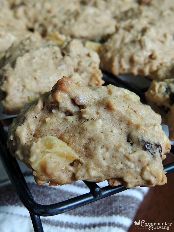 Warm Apple Harvest Breakfast Cookies