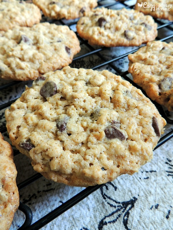 Warm Salted Oatmeal Chocolate Chip Cookies