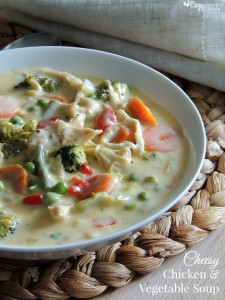 Cheesy Chicken & Vegetable Soup