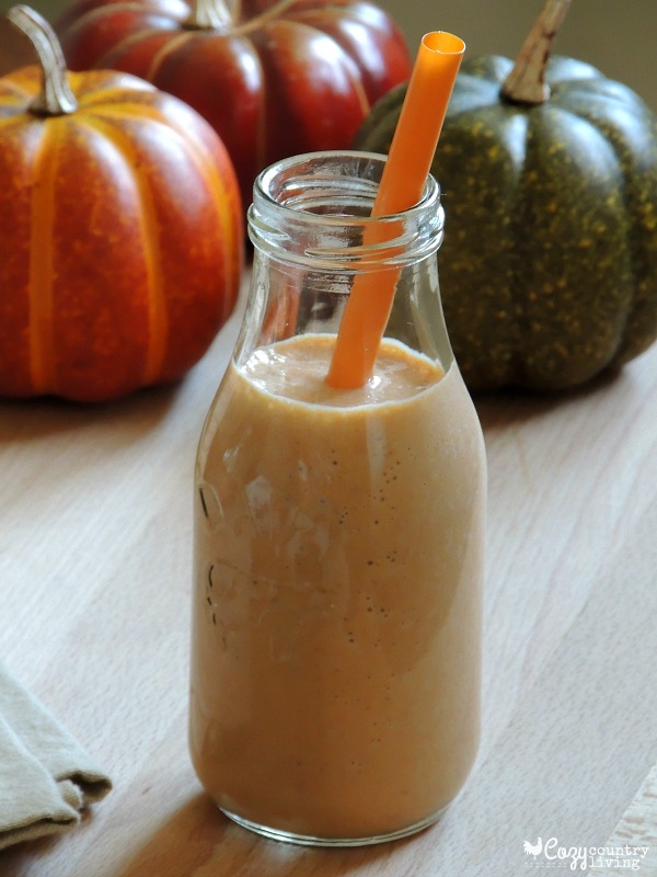 Chilled Pumpkin Spice Smoothies