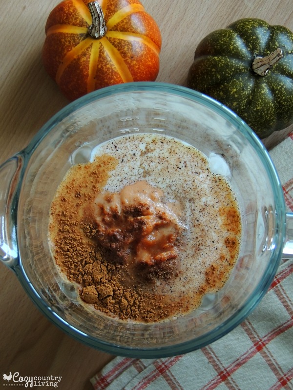Ingredients for Pumpkin Pie Smoothies