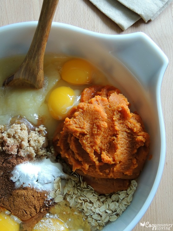 Ingredients for Pumpkin Spice Oatmeal Muffins