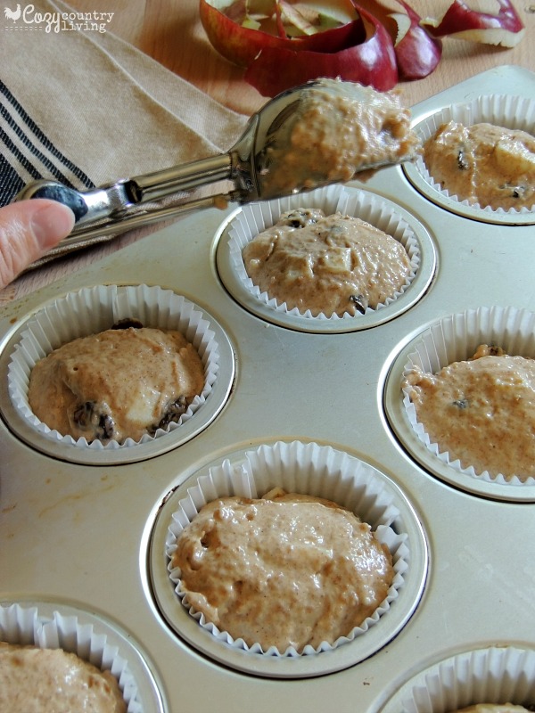 Preparing Apple Raisin Muffins