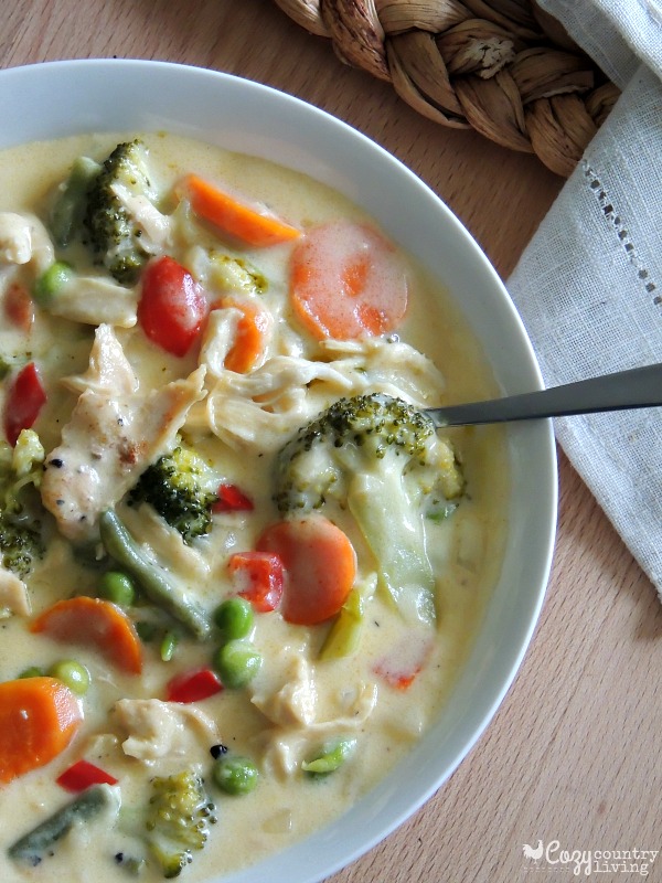 Warm Cheesy Chicken & Vegetable Soup