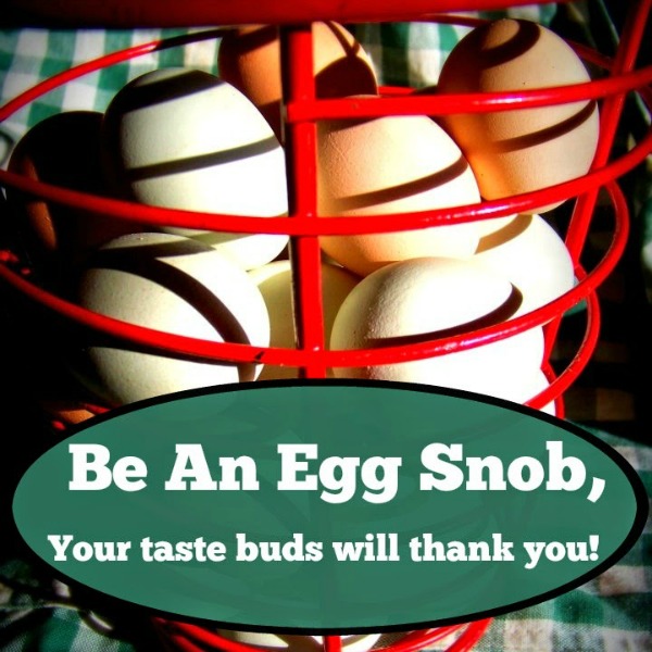Be An Egg Snob Born Again Farm Girl