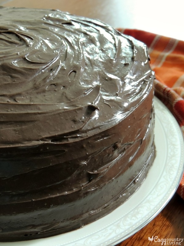 Chocolate Frosted Pumpkin Cake