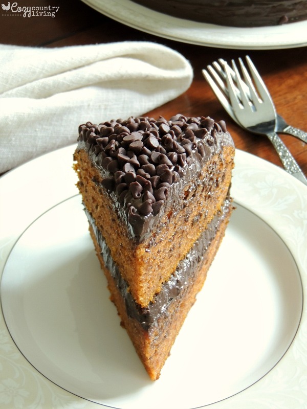 Dessert Pumpkin Cake with Chocolate Frosting