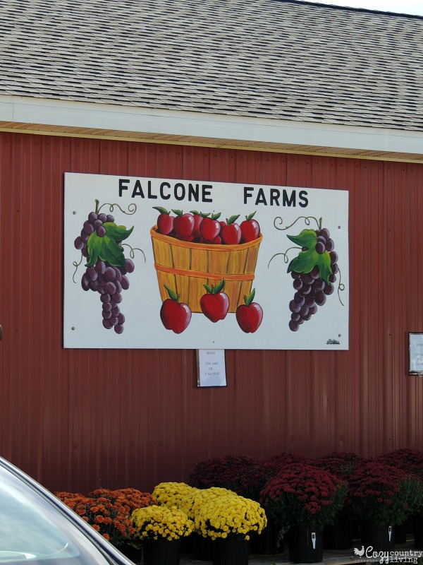 Falcone Farms Fall Apple Picking