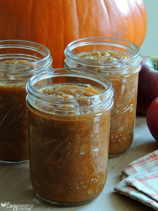 Freezer Friendly Slow Cooker Pumpkin Spice Applesauce