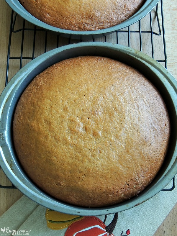 Fresh From the Oven Pumpkin Spice Cake